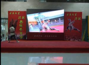 2014我校学员参加安阳航空文化艺术节精品展岳家拳专场表演